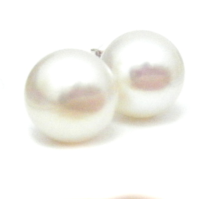 White AAA 9mm Button  Pearl Earrings